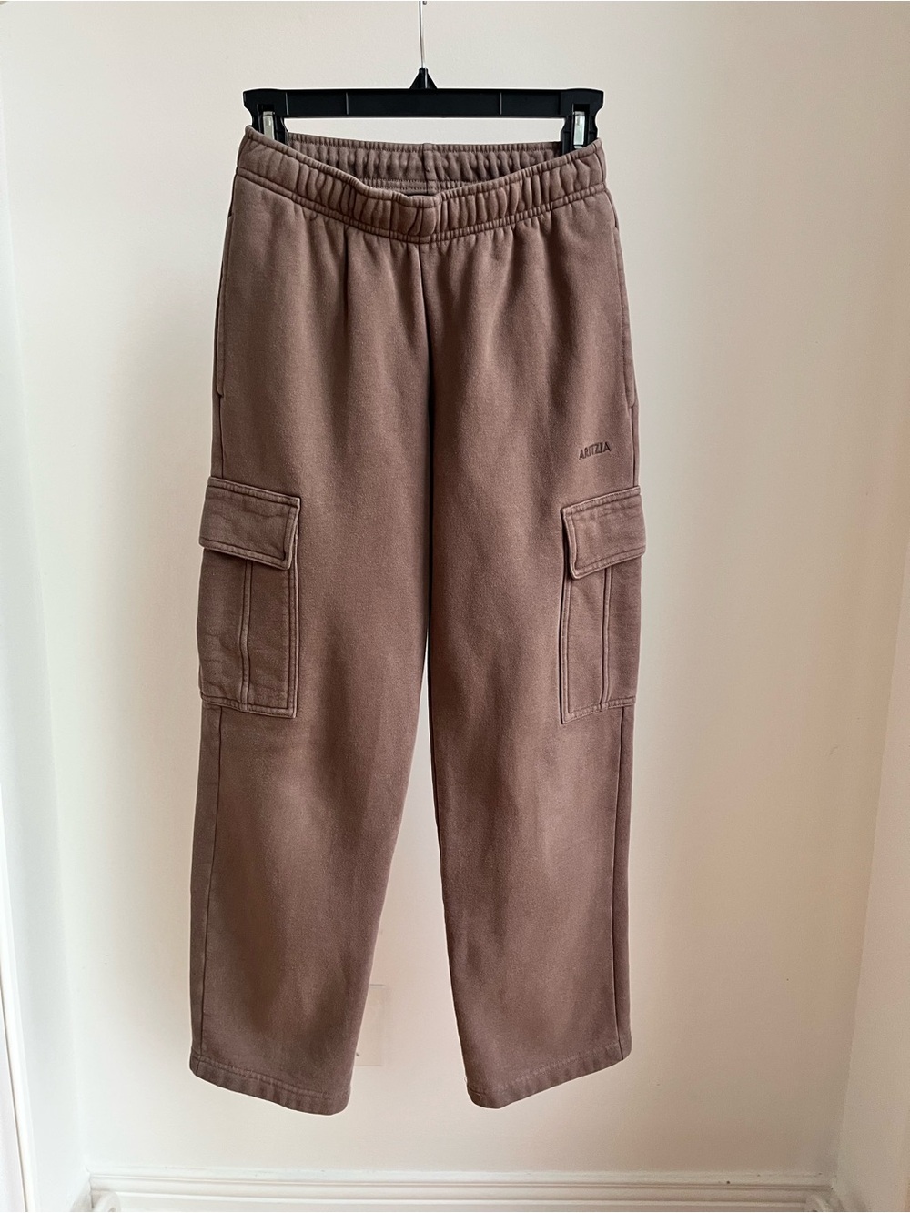 Aritzia Cozy Sweatfleece Mega Cargo Sweatpant in Cola Taupe